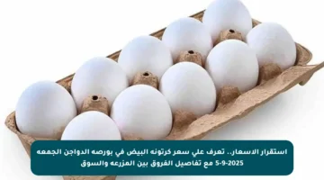 استقرار الأسعار.. تعرف على سعر كرتونة البيض في بورصة الدواجن الجمعة 5-9-2025 مع تفاصيل الفروق بين المزرعة والسوق